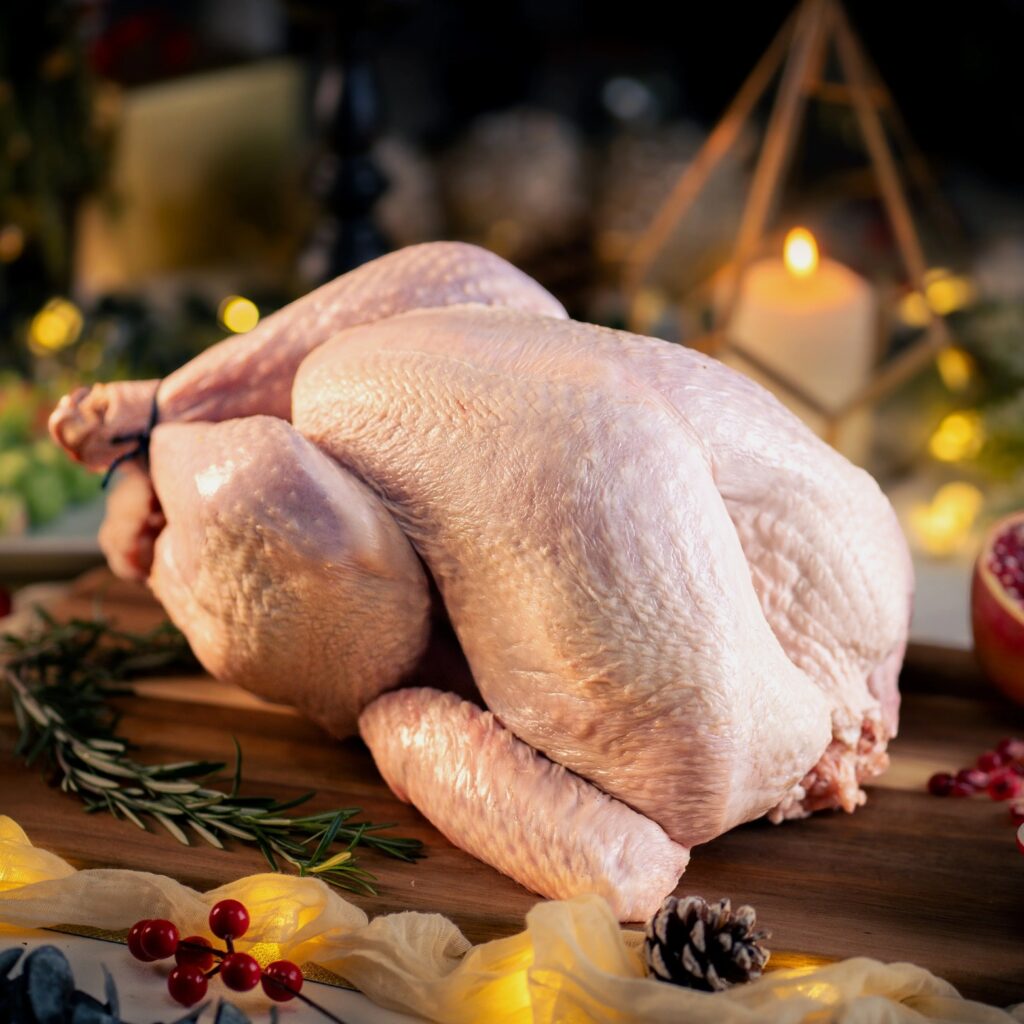 Turkey Meat 1024x1024